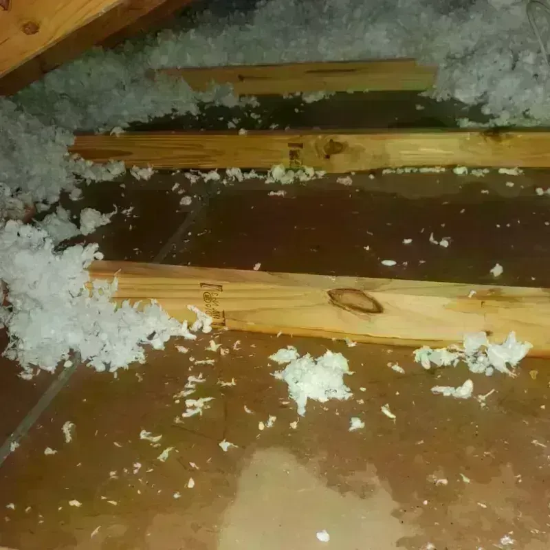 Attic Water Damage in Mount Pleasant, WI