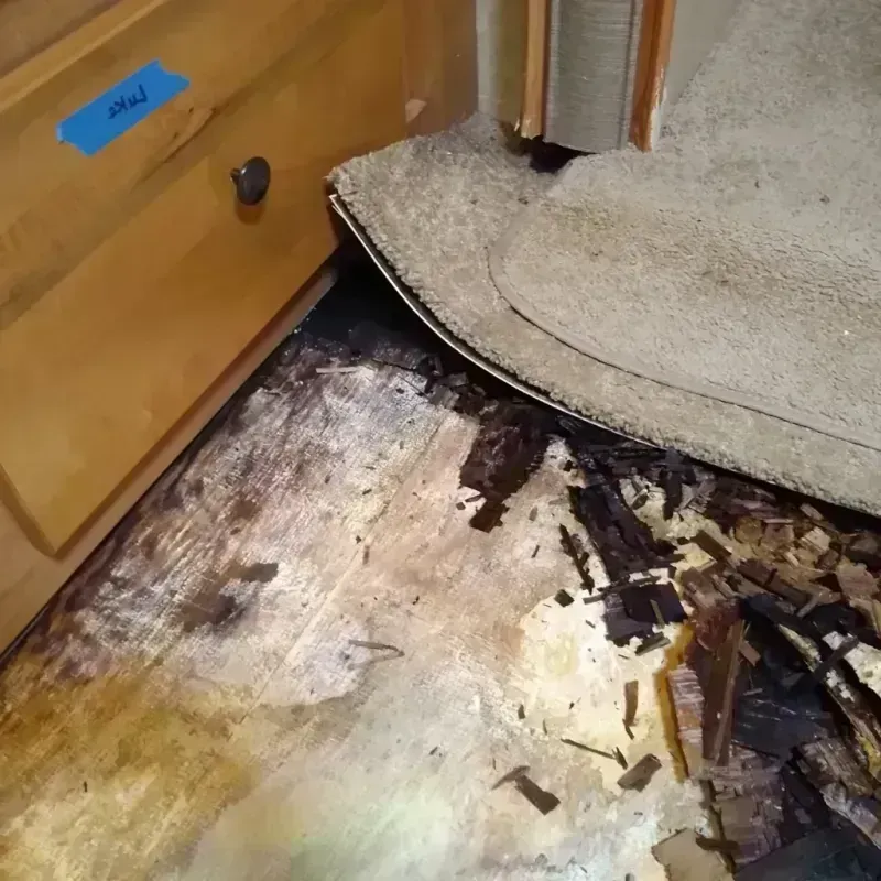 Wood Floor Water Damage in Mount Pleasant, WI